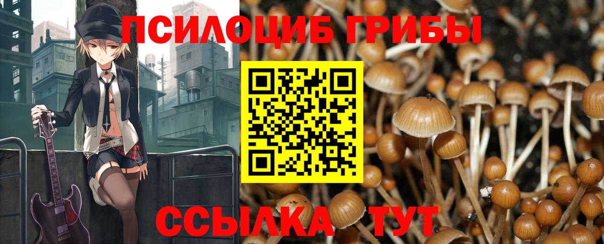 Псилоцибиновые грибы мухоморы  Галлюциногенные грибы мухоморы  Новозыбков  Вход с VPN 