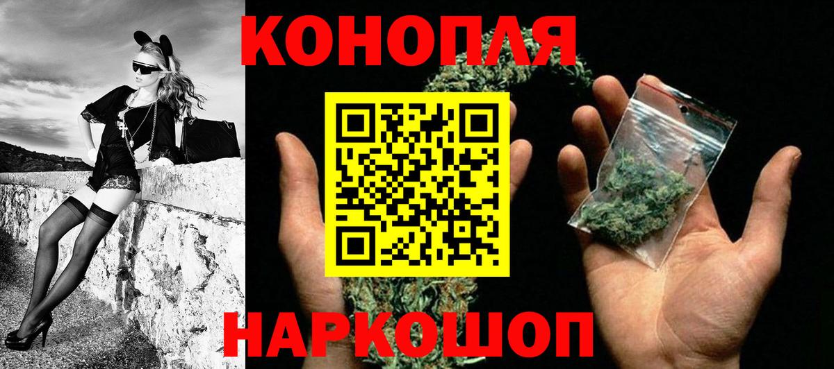 Канабис план Новозыбков